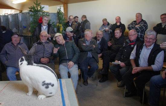 Tierbesprechung mit Sandra Heuberger